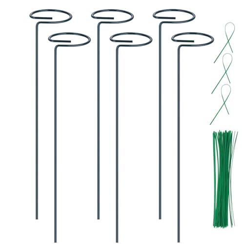 6PCS Plant Support Stakes, 16 Inch Plant Stakes with 50 PCS Twist Ties, Garden Stake for Indoor Plants Amaryllis, Rose, Tomatoes, Lily, Peony, Orchid