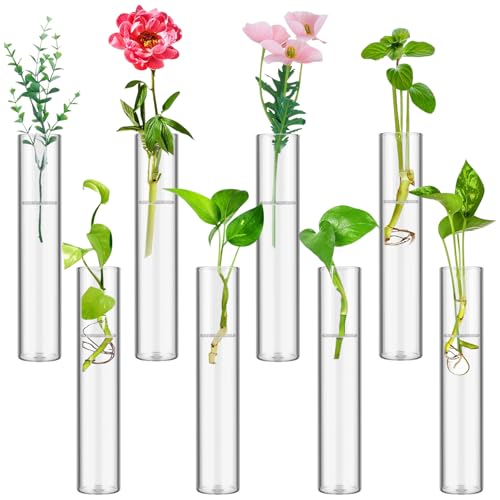 8 Tube Glass Plant Propagation Stations, Clear - color: Clear 8 Pcs