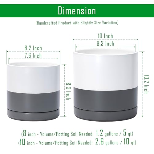 D'vine Dev 2-Pack Ceramic Pots with Saucers, 8/10 in, White/Grey, 94-G-L-6 - color: White/Speckled Grey, size: Large