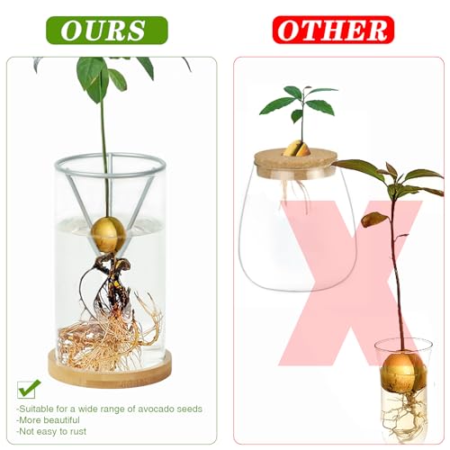 Bylion 2 Pack Avocado Growing Kits Avocado Seed Starter - color: Silver