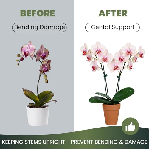 60 Pcs Dual‑Size Orchid Clips, Dark Green Plant Stem Support Clips - size: 60Pcs Mixed Size
