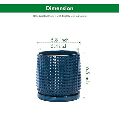 D'vine Dev Beaded Ceramic Pot with Saucer, 6 in, Midnight Blue, 27-C-X-3 - color: Midnight Blue, size: 5.8 Inch