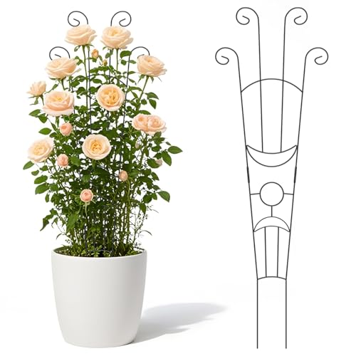 2 Pack Taller Plant Trellis for Climbing Potted Plants Indoor & Outdoor