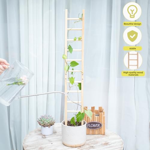 1Pcs Indoor Plant Trellis – Durable Wooden Support for Climbing Plants - size: 25" H
