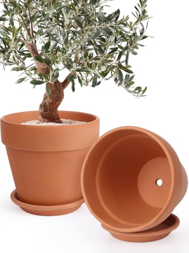 INGOFIN 12 Inch Terracotta Pot Set of 2 with Saucer - Ceramic Clay Pot for Plants with Drainage Hole, Large Terra Cotta Flower Planter with Tray for Indoor Outdoor Plants - size: 12/12 inch -2 pcs
