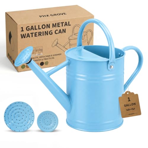 1 Gallon Metal Watering Can for Indoor Outdoor Plants, Sky Blue - color: Sky Blue