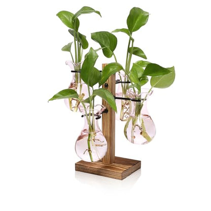 Plants Propagation Stations Bulb Glass Propagation Birthday Gift for Women - color: Pink