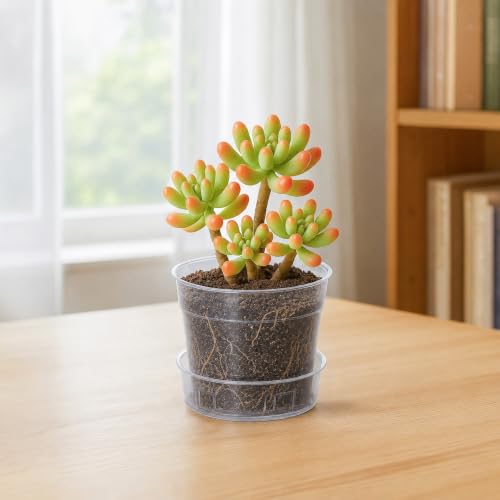 3 Inch Clear Plastic Plant Pot with Drainage Holes, Interlocking & Detachable Tray - Deep Saucer - Durable BPA-Free Plastic, Transparent Design, Raised Base for Airflow, Set of 6, 92-X-A-1 - size: 3" x 2.5"