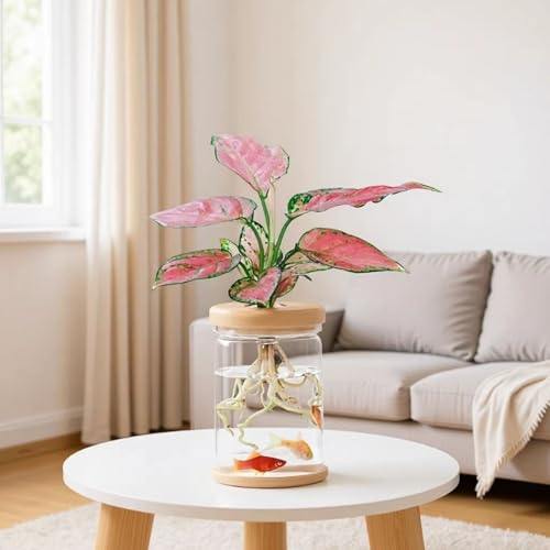Desktop Plant Propagation Station, Hydroponic Glass Vase Water Plant Jars, Modern Desktop Gardening Decor for Home Office