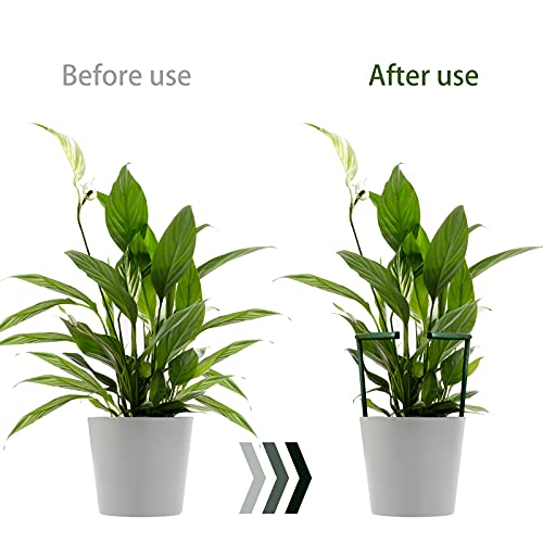 12 Pack Plant Support Stakes with 24 Pcs Clips, Half Round Ring Plastic Cage Holder Flower Pot Climbing Trellis for Small Vegetable,Indoor Plants