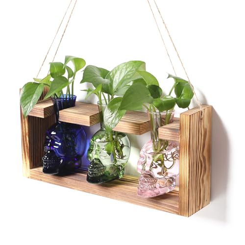 Plant Terrarium Propagation Stations Skull Planter Vase Skulls Decor - color: Color-01