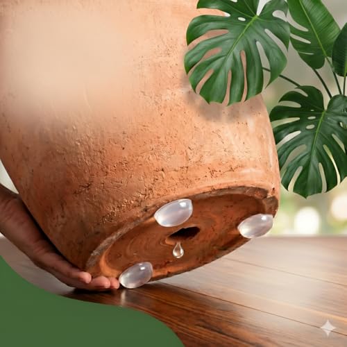 36pcs Pack Clear Self-Adhesive Anti-Slip Plant Risers Suitable for/Outdoor Pots, Invisible Planter Feet Elevators with Optimal Drainage (Clear) - color: Clear