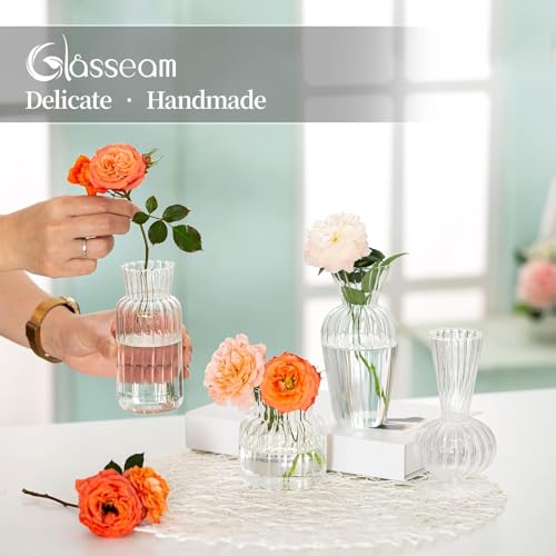 Glasseam Glass Bud Vases Bulk, 16 Pcs Small Clear Vases for Centerpieces - size: 16pcs