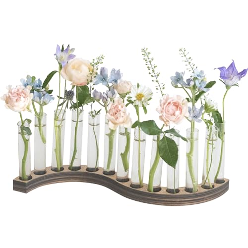 Test Tube Vases for Flowers，Small Plant Propagation Station，S Shape Plant Terrarium with Wooden Stand(Amber) - color: Amber
