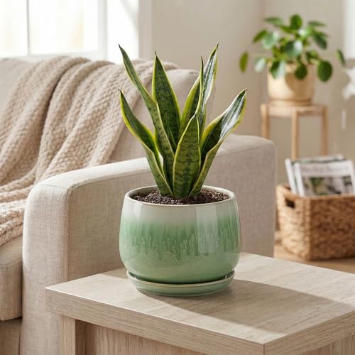 6 Inch Planter, Ceramic Plant Pots for Indoor Plants, Green - size: 6 Inch, style: Green