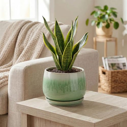 6 Inch Planter, Ceramic Plant Pots for Indoor Plants, Green - size: 6 Inch, style: Green