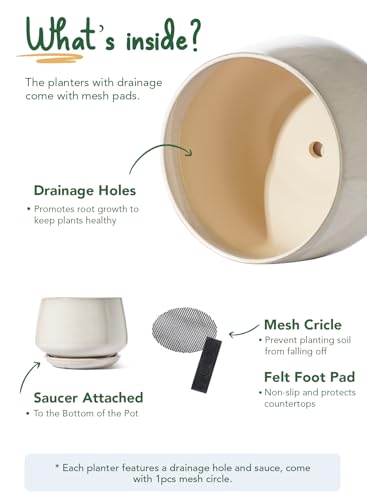LE TAUCI Ceramic Planter, 12 Inch, Large Plant Pot, Reactive Glaze Beige - color: Reactive Glaze Beige, size: 12"