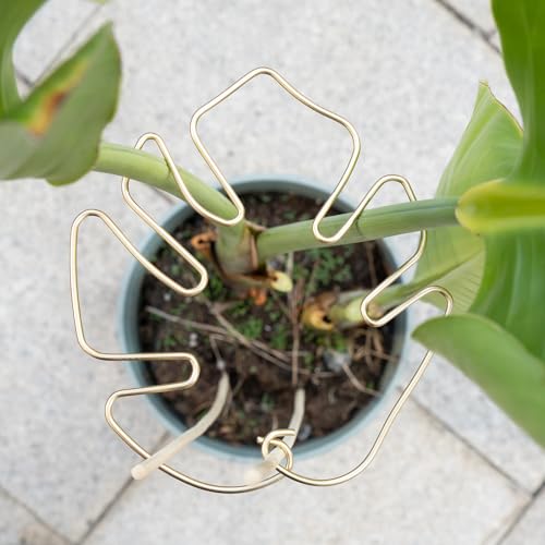 5PCS Metal Plant Stem Support-Monstera Stabilizer Grapple Holder - size: 7.03*6.25IN