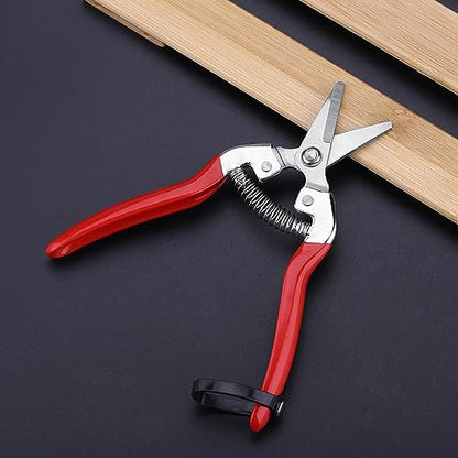 Professional Garden Pruning Shears for Roses and Flowers, Curved Blade Stainless Steel Hand Pruners, Heavy Duty Plant Trimming Scissors for Fruit Harvesting and Flower Arranging
