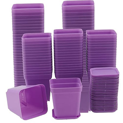 HOIGON 100 Pack 3 Inch Purple Square Nursery Pot, Durable Thickened Plastic Nursery Pots with Drain Holes, Small Square Planting Containers for Flower Tomatoes Basil - color: Purple