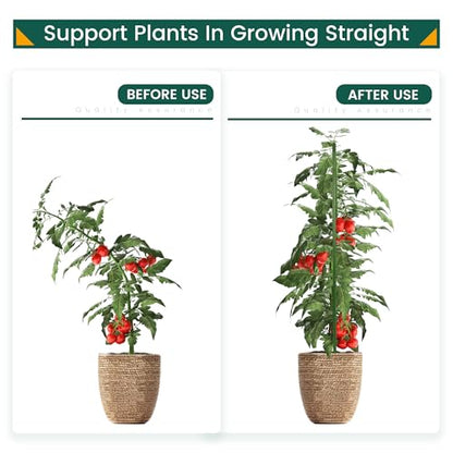 PROWORX 36 Inch 3 Ft Plant Support Garden Stakes for Outdoor Plants, 50 PCS - size: 3 Ft 50 Pack