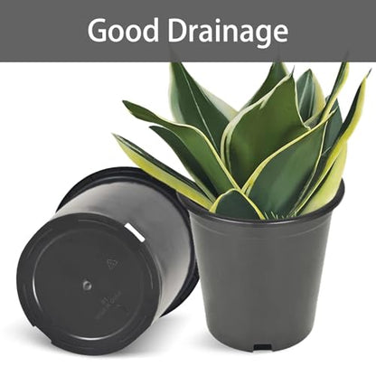 1 Gallon Plant Nursery Pot 10-Pack 1 Gallon Plastic Garden Planter Pots Flower Seedling Injection Molded Container Seed Starting Pot Set for Indoor Outdoor Plants Seedlings Vegetables Black - size: Standard 1 Gallon