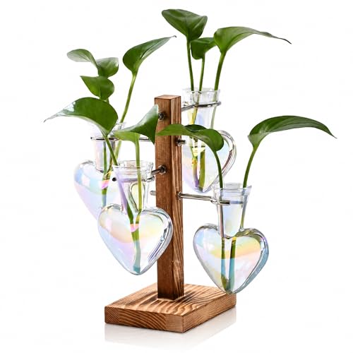 Nacome Plant Terrarium Propagation Stations: Clear Vase with Wooden Stand - color: White