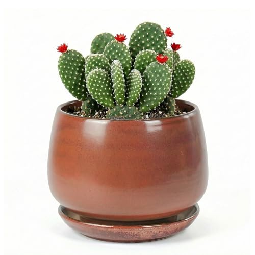 7.5 Inch Flower pots for Indoor Outdoor Plants with Saucer Drainage Leak-Proof Mesh, Ceramic Planter with Gardening Gloves for Succulent and Flower(Iron-red) - color: Iron-red, size: 7.5 Inch