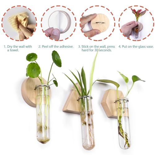 Wall Hanging Glass Planter Plant Propagation Station
