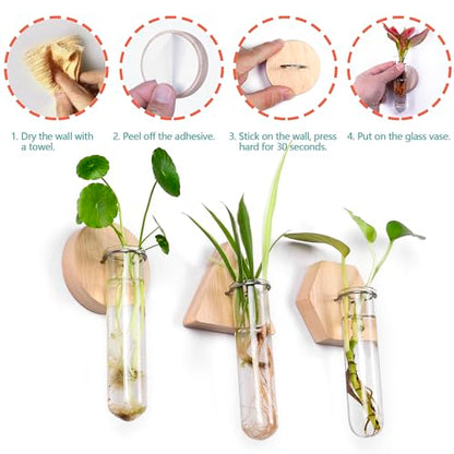 Wall Hanging Glass Planter Plant Propagation Station
