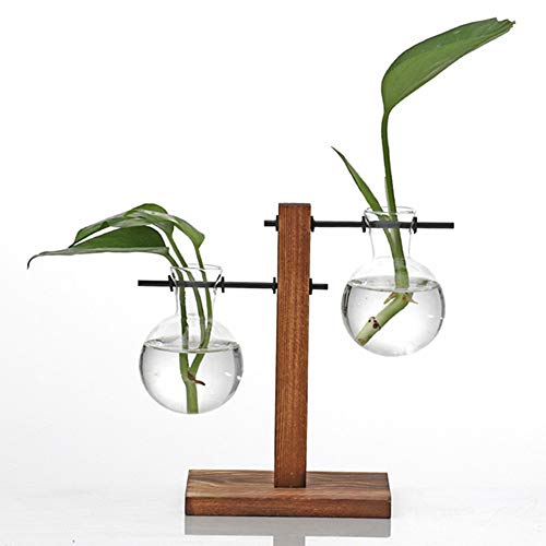Kingbuy Hydroponic Glass Vase with Retro Wooden Stand - size: B（2 Bulb Vase）