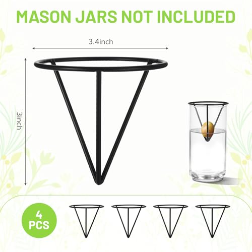 4Pcs Avocado Seed Starter vase Holders That can be Used as Propagation Kits for Plant Propagation vases, not only for Avocados but Also for Other Similar Plants (Carrots, Sweet Potatoes, etc)
