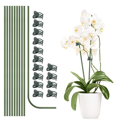 10Pcs Plant Support Stakes with 15pcs Plant Clips,15.7 Inches Bendable Plant Sticks for Indoor and Outdoor Plants,Single Stem Flower Stakes for Phalaenopsis Orchid Flower Roses(Green) - color: Green