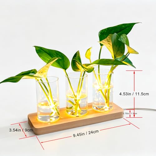 3 Pcs Plant Propagation Terrarium with Wooden Stand