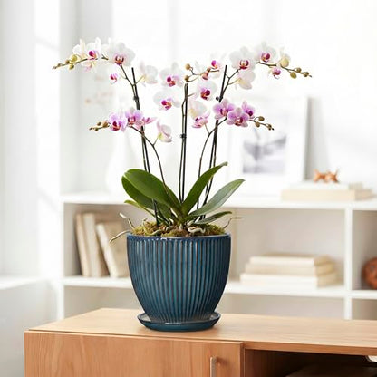 Ceramic Plant Pots, 8 Inch Planters with Saucer, Retro Blue - color: Retro Blue, size: 8 Inch