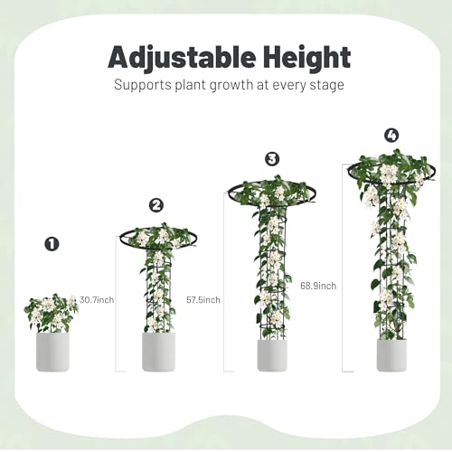Umbrella Top Garden Trellis for Climbing Plants Outdoor, 5.7FT Tall Obelisk - color: Tall - 68.9" Height