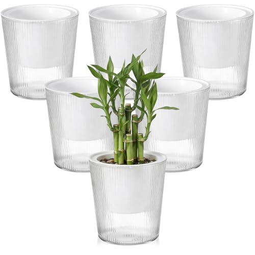 6 Pack Self Watering Pots for Indoor Plants Plastic Vertical Ribbed Semi Transparent Planters, Dual Layer Reservoir for Indoor Succulents Herbs Pothos(Clear, White,4 x 4.3 Inch) - color: Clear, White, size: 4.3 x 4 Inch