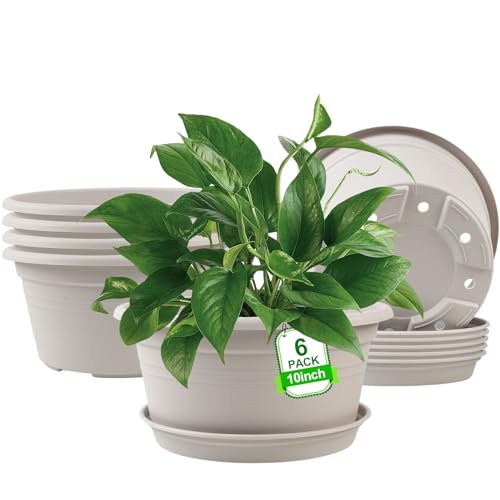 6 Pack 10 inch Plant Pot, Shallow Planters with Drainage Hole & Tray Saucer - color: Gray White, size: 10 Inch - 6Pack