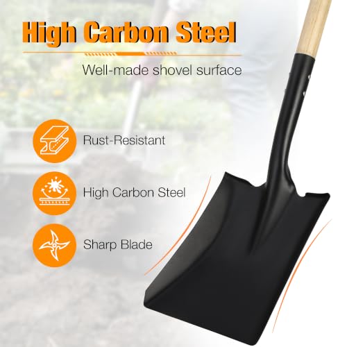41-Inch Square Point Transfer Shovel, Wooden Handle with D-Grip & Alloy Steel Flat Head Spade Shovel, Ideal for Landscaping, Digging, Soil Moving, Cleanup Job & Yard Projects