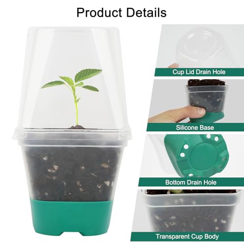 Sankoly 30 Packs Clear Nursery Pots with Plant Labels 3 Inch Plastic Plant Pot with Humidity Domes Silicone Base and Drainage Holes Reusable Seedling Pots