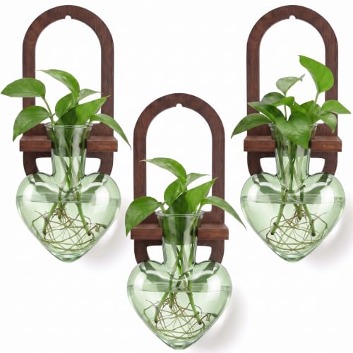 Hushee 3 Set Plant Propagation Station for Wall Hanging with Wooden Stand