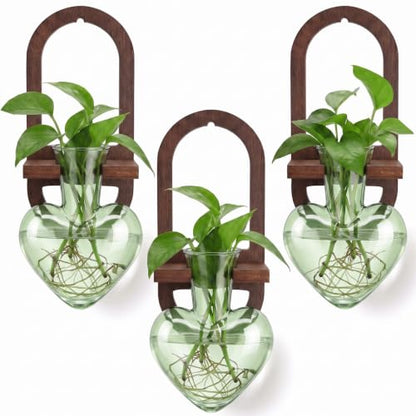 Hushee 3 Set Plant Propagation Station for Wall Hanging with Wooden Stand