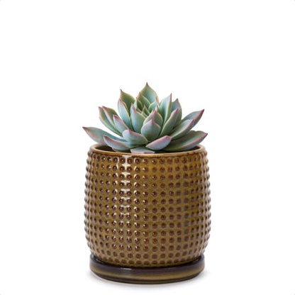 D'vine Dev Beaded Ceramic Pot with Saucer, 4 in, Olive Bronze, 27-C-Z-N - color: Olive Bronze, size: 4.3 Inch
