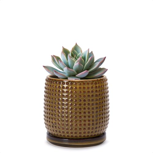 D'vine Dev Beaded Ceramic Pot with Saucer, 4 in, Olive Bronze, 27-C-Z-N - color: Olive Bronze, size: 4.3 Inch