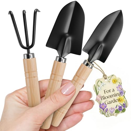 3 Pcs Mini Garden Tools, Shovel, Rake, Wooden Handles, Steel Heads