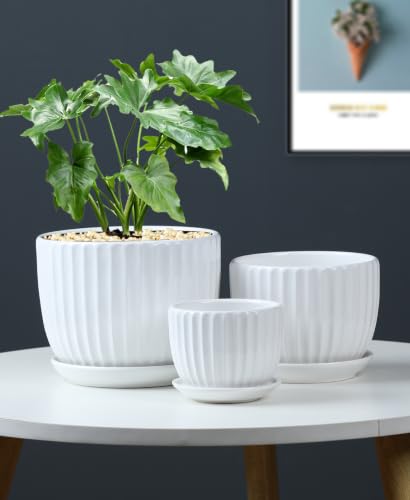 White Plant Pots,Ceramic Flower Pot Set of 3 with Drainage Holes & Saucers - color: White