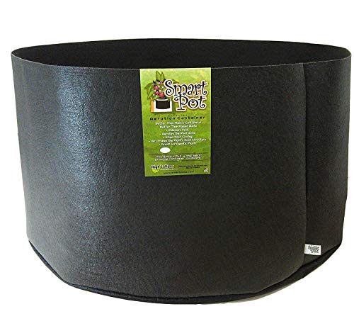 Smart Pots 200-Gallon Smart Pot Soft-Sided Container, Black - color: Black, size: 200-Gallon