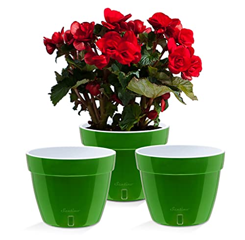 Santino ASTI 11.8 Inch Self Watering Planters Green-Gold/White (Set of 3) for Indoor Plants - Premium Quality Modern Plastic w/Water Level Indicator for All House Plants, African Violets and Dahlias - color: Green-gold/White - Set of 3, size: 11.8-Inch