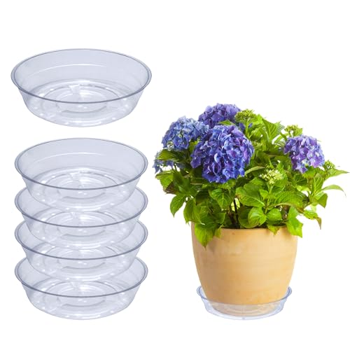 Curtis Wagner Plastics Drip Pan Plant Saucers (5-Pack) - Clear, Round (Diameter: 3" Base, 4" Top, 1.12" Depth) Thin Plastic Planter to be Used as Indoor Pot & for Outdoor Plant Pots - color: Saucer-clear, size: Base 3.00"