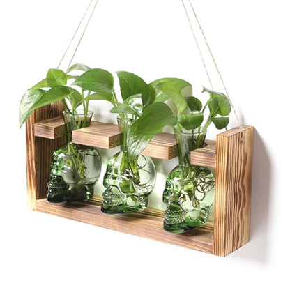 Plant Terrarium Propagation Stations Skull Planter Vase Skulls Decor - color: Green